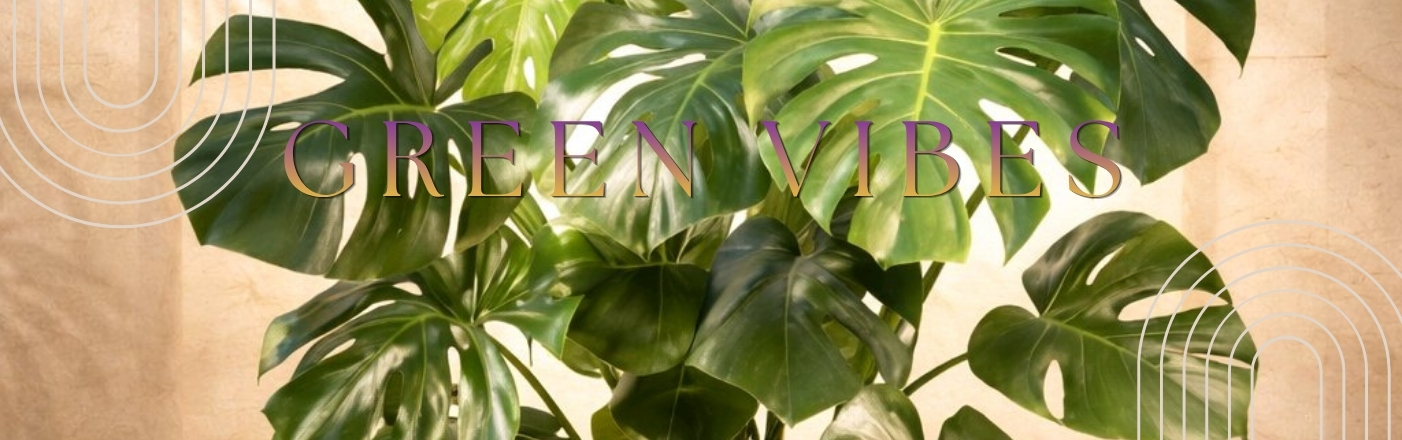Shop Plants