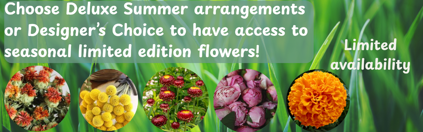 Shop Summer Flowers