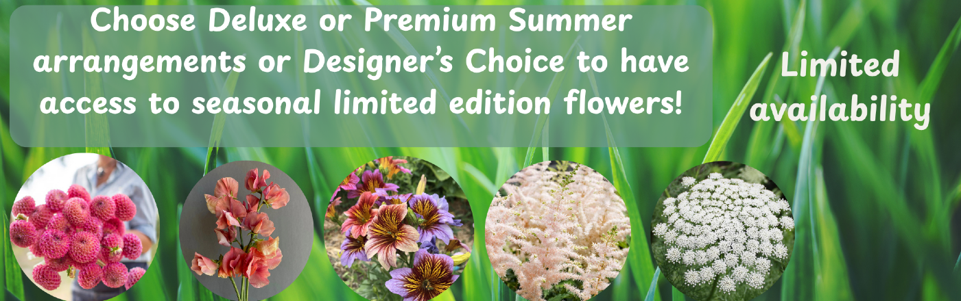 Shop Summer Flowers