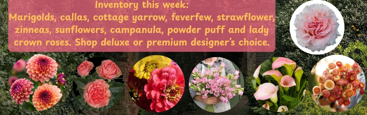 Shop Summer Flowers