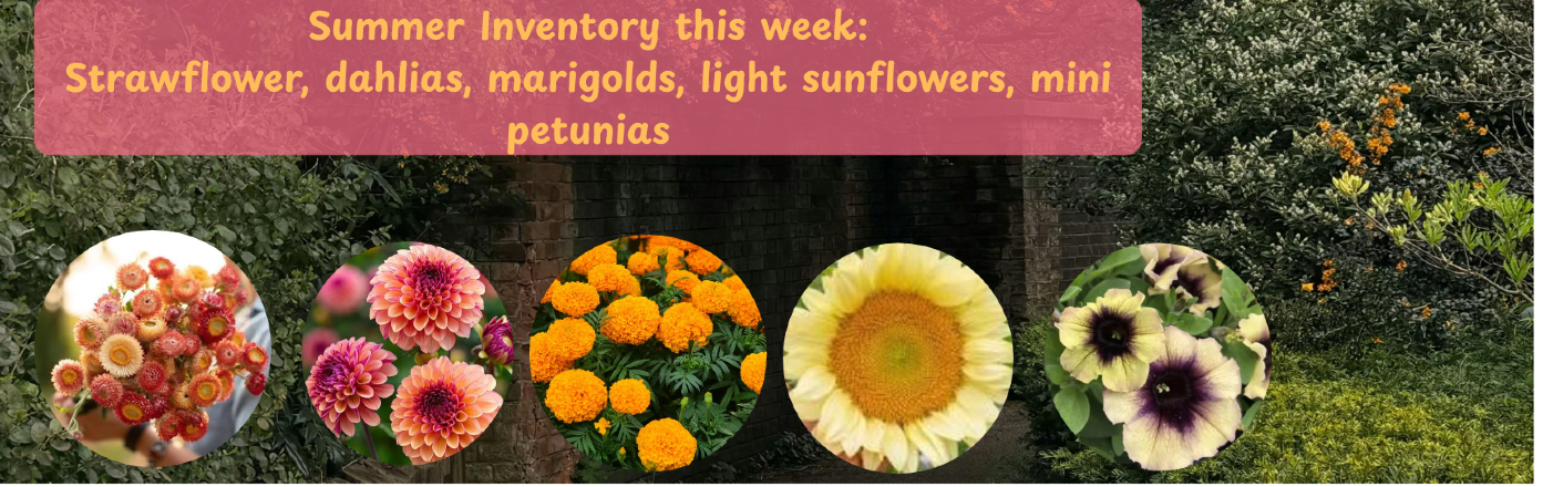 Shop Summer Flowers