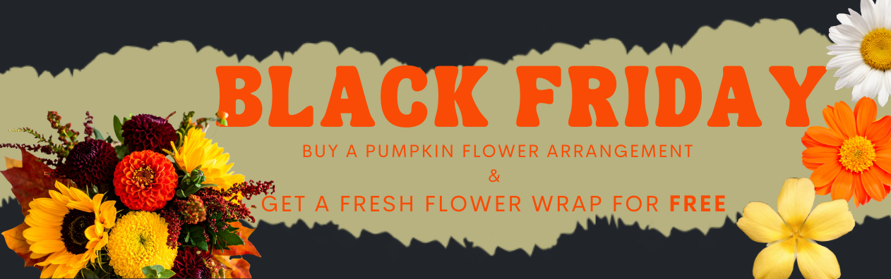 Shop Thanksgiving