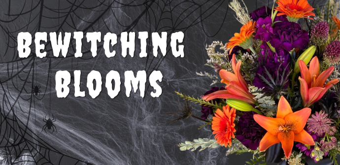 Shop Halloween
