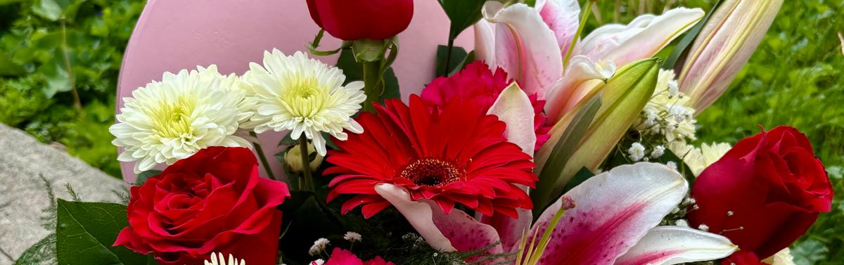 Shop Mother's Day