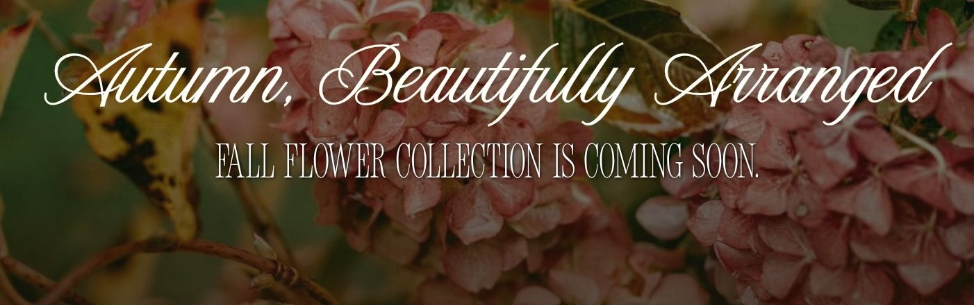 Shop Best Sellers