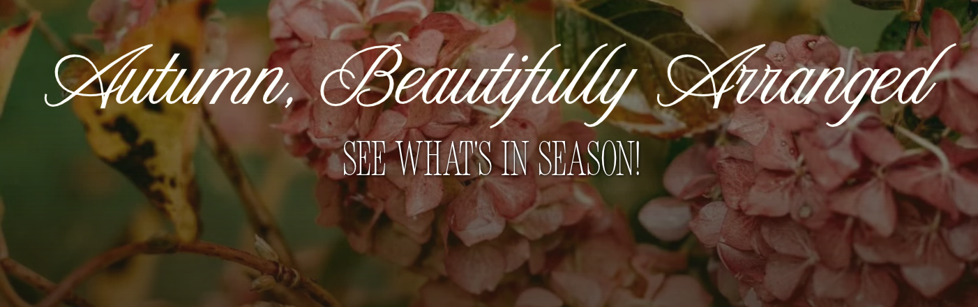 Shop Fall Flowers