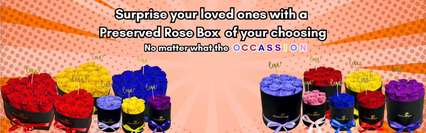 Shop Preserved Roses