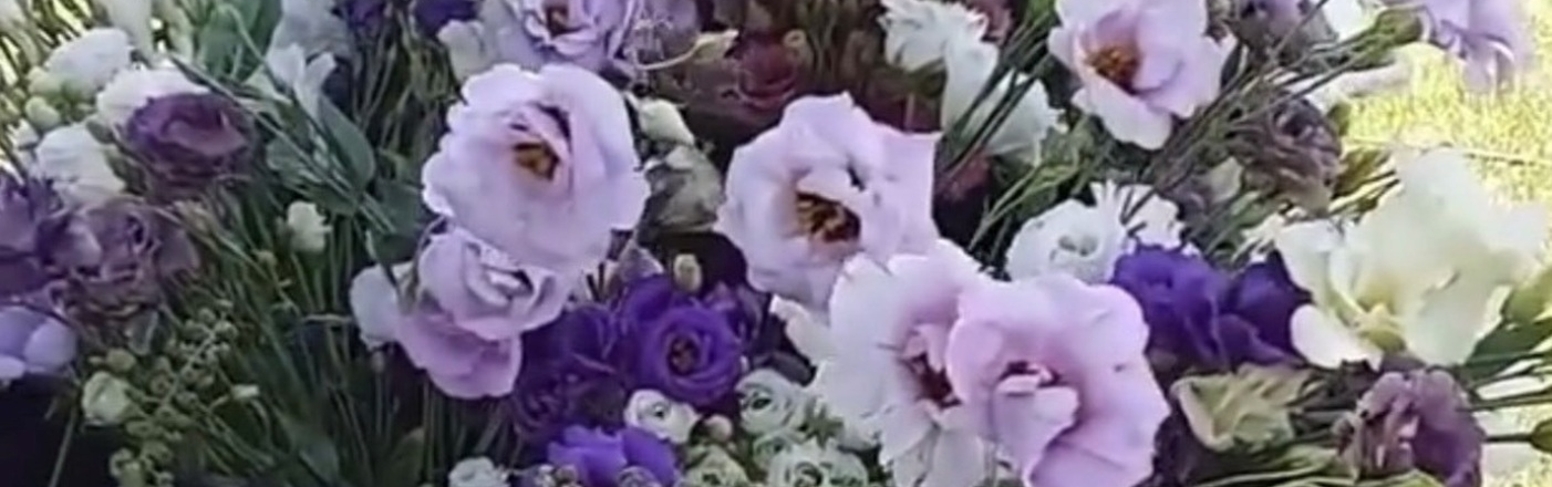 We grow our flowers