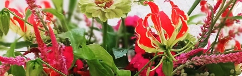 We grow our flowers on 10 acres