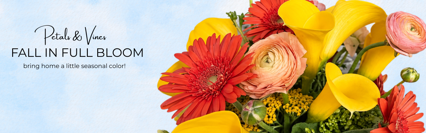 Shop Fall Flowers