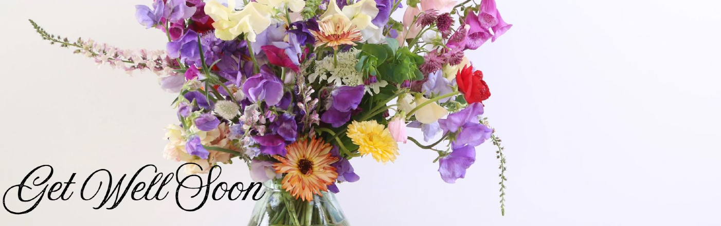 Shop Get Well Flowers
