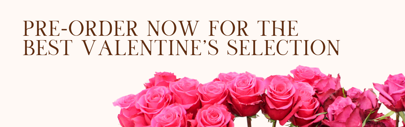 Shop Valentine's Day