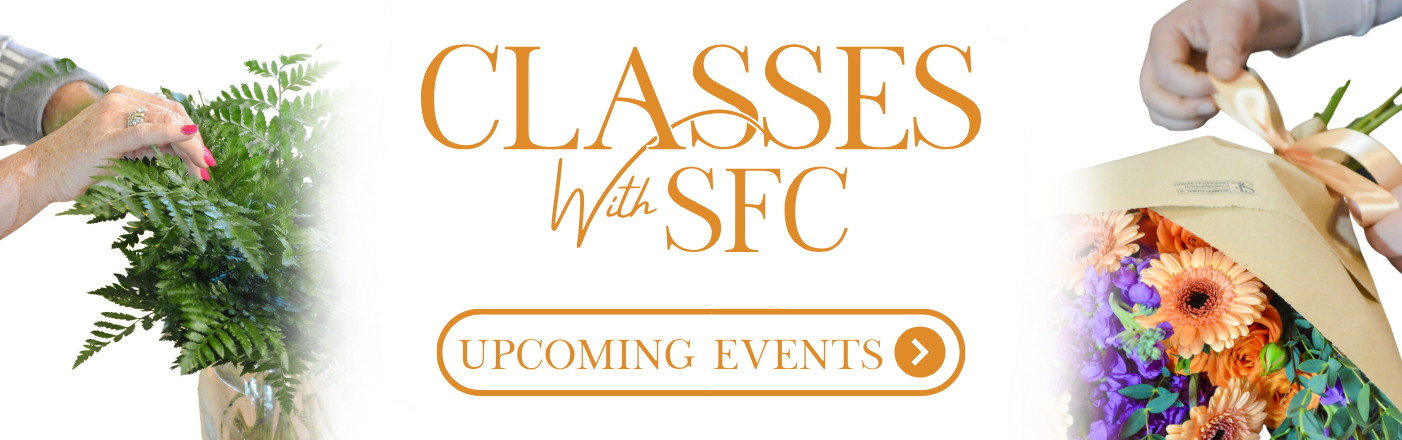 Classes with SFC
