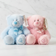My First Teddy