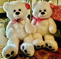 Stuffed Animal - May Vary