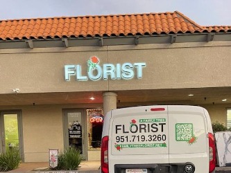 Storefront of A Family Tree