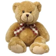 Stuffed Animal - Teddy Bear