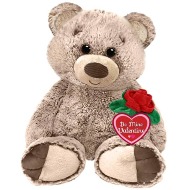 Valentine's Day Plush Bears