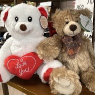 Bears
