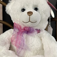 White Teddy with pink and purple plaid bow