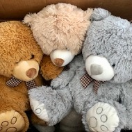 Stuffed Animal