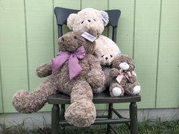 Baxter Bears