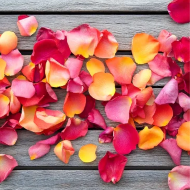 ROSE PETALS