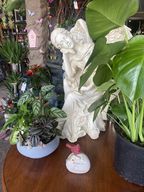 Store Display