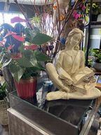 Store Display