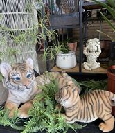 Store Display