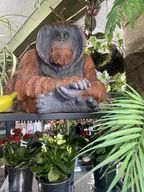 Store Display