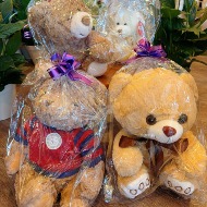 Limited Stuffed Animals
