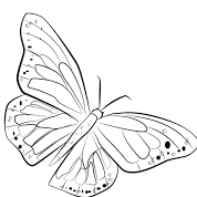 Add A Butterfly