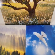 Avanti Sympathy Card