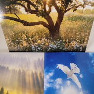 Avanti Sympathy Card