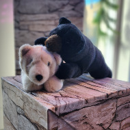 Stuffed Animal