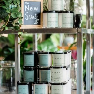 Ivy Trellis Candle