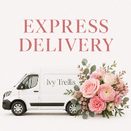 Express Delivery