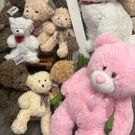 Stuffed Animal