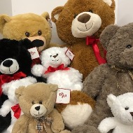 Stuffed Animal
