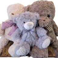 Teddy bear plush