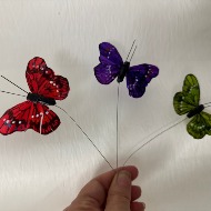 Beatiful Matching Butterfly