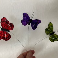 Beautiful Matching Butterfly