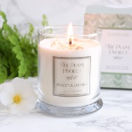Planted Soy and Coconut Wax Candles