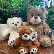 Teddy Bears