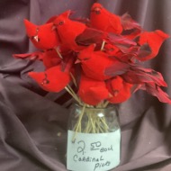 Cardinal picks for flowers, plants or dish gardens