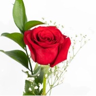 Add A Beautiful Rose