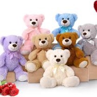 Stuffed Animal