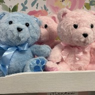 Teddy Bear