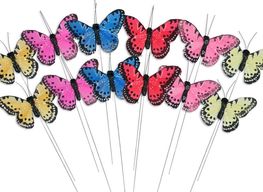 Butterflies